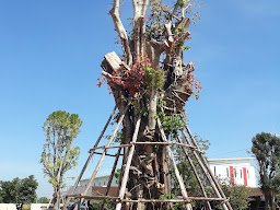 สวนอาหารบ้านไผ่นายพล