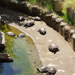Photo n°5 de l'avis de Joe.h fait le 21/04/2019 à 17:38 sur le  Ristorante Al Zuc à Pagnacco