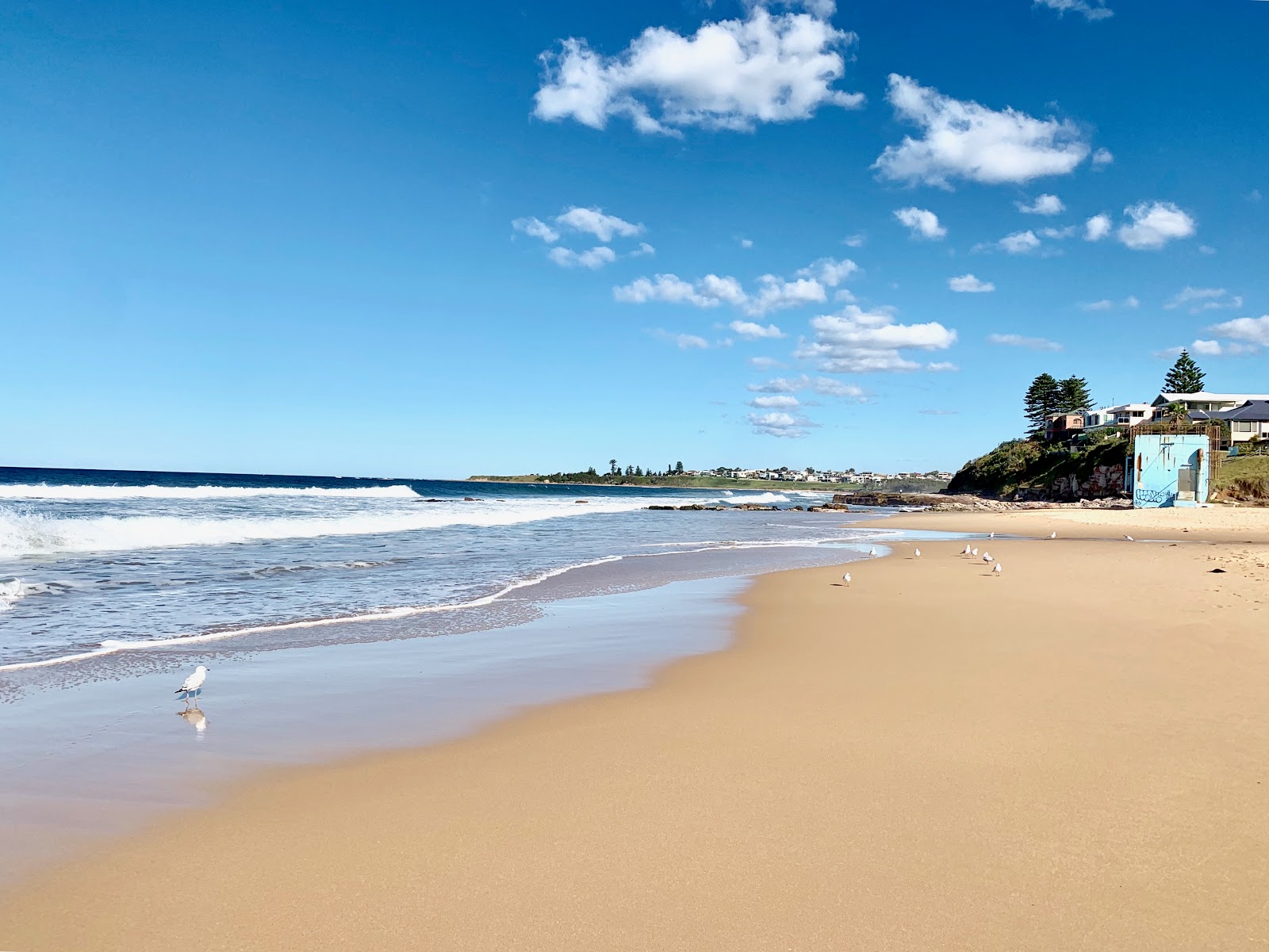 McCauley's Beach photo #7