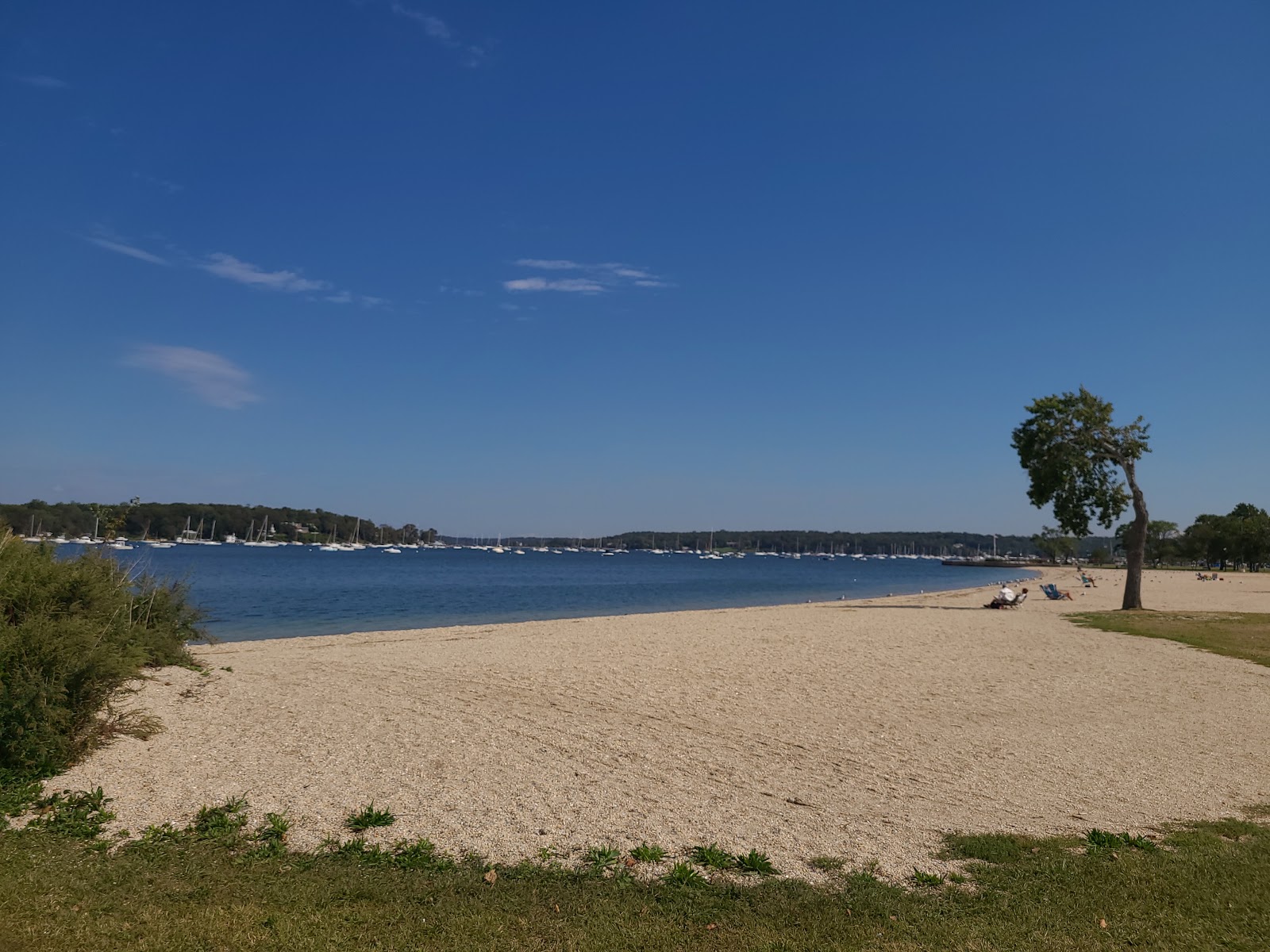 Foto di Roosevelt Beach con molto pulita livello di pulizia
