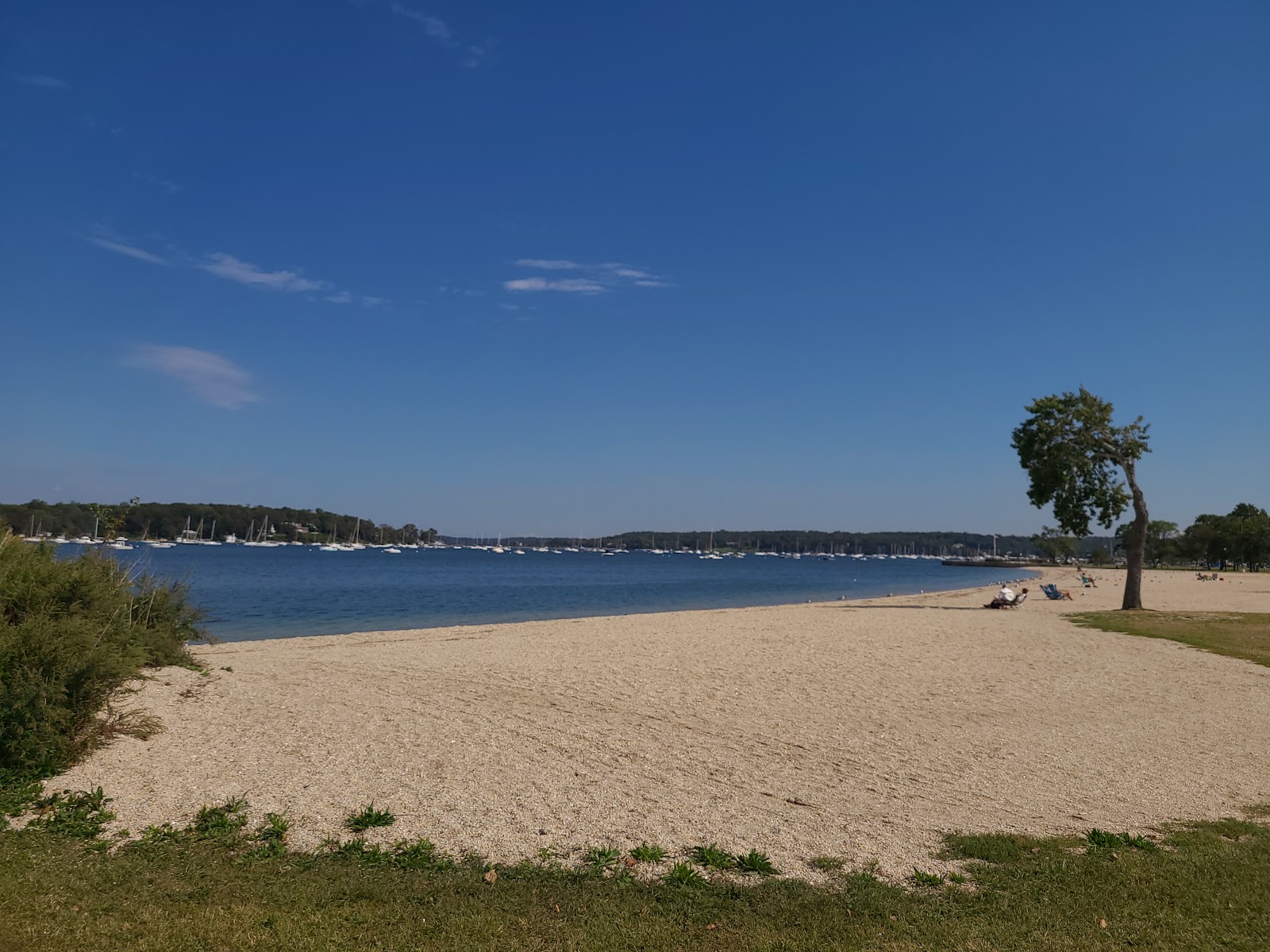 Foto af Roosevelt Beach med rummelig bugt