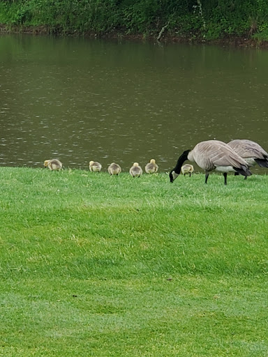 Golf Club «Creekside Golf Club», reviews and photos, 6250 Club House Dr SE, Salem, OR 97306, USA