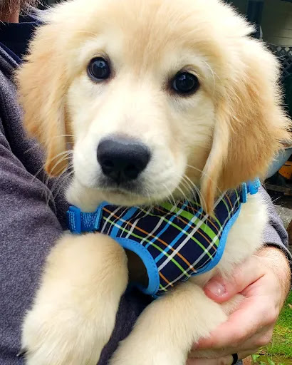 Pet Store «The Pet Zone», reviews and photos, 2001 South Rd, Poughkeepsie, NY 12601, USA