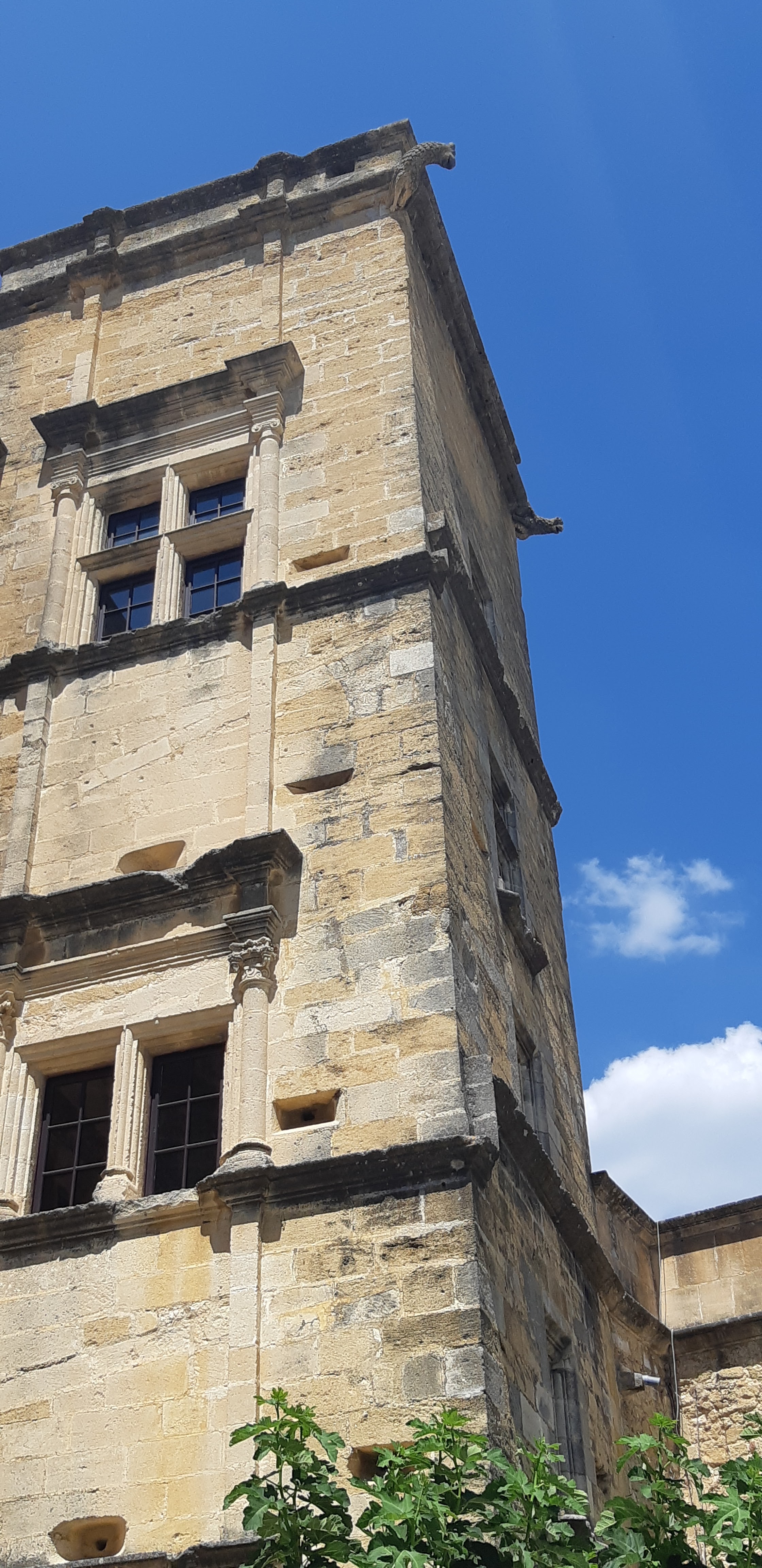 Photo n° 4 de l'avis de Muriel.s fait le 28/08/2018 à 18:59