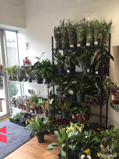 Hardware Store «Glover Park Ace Hardware», reviews and photos, 2233 Wisconsin Ave NW, Washington, DC 20007, USA