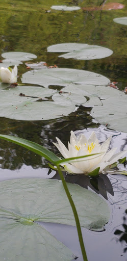 Canoe & Kayak Rental Service «Crystal River Outfitters Recreational District», reviews and photos, 6249 River Rd, Glen Arbor, MI 49636, USA