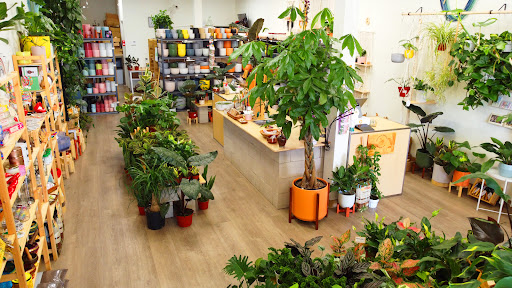 PlanterSam image