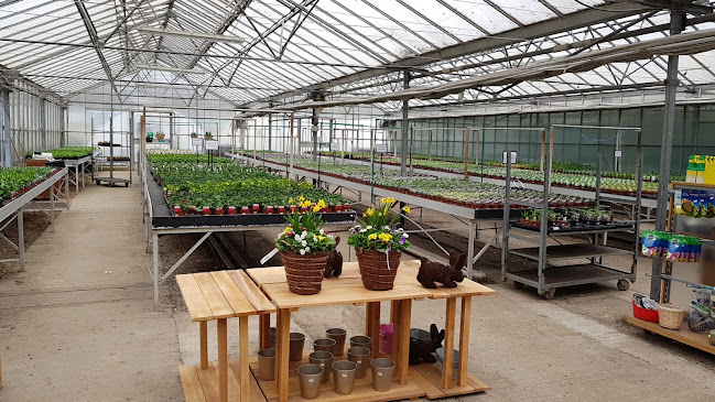 Reviews of Mayfield Plant Nursery, Garden Centre and Cafe in Southampton - Landscaper