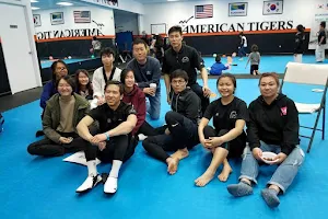American Tigers Taekwondo, Inc. image