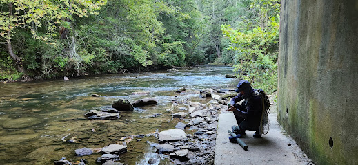 Chattahoochee National Forest Soquee River Public Fishing