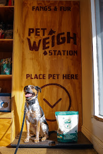 Fangs & Fur - Photo 8 - Car repair in Columbus, OH, Columbus