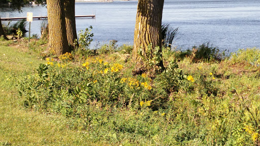 Park «East Medicine Lake Park», reviews and photos, 1740 E Medicine Lake Blvd, Plymouth, MN 55441, USA