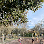 Photo n°7 de l'avis de Paulo.o fait le 01/03/2022 à 16:15 sur le  Casa das Palmeiras - Nature Houses & Pedagogic Farm à Mangualde