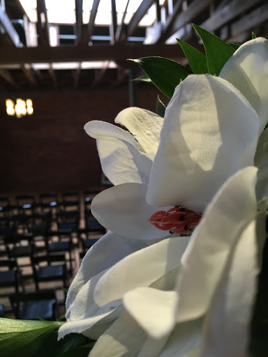 Florist «Russ Gaffney Florist», reviews and photos, 160 S Pine St, Spartanburg, SC 29302, USA