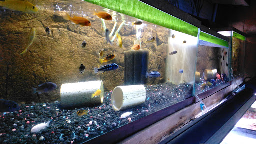 Tropical Fish Store «Pass Road Pet Center (Just Fish)», reviews and photos, 1939 Pass Rd, Biloxi, MS 39531, USA