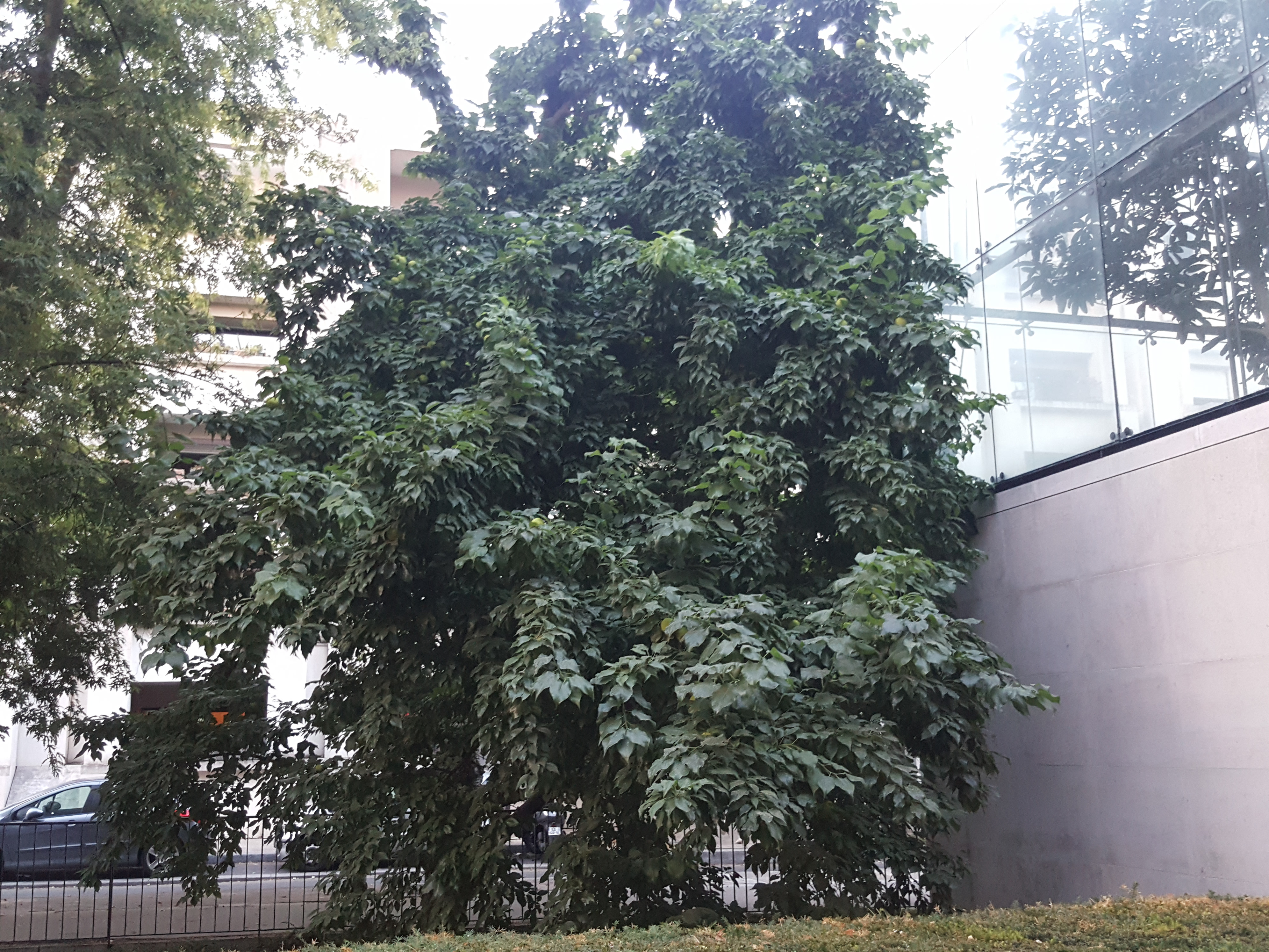 Photo n° 1 de l'avis de R..- fait le 27/07/2018 à 12:03