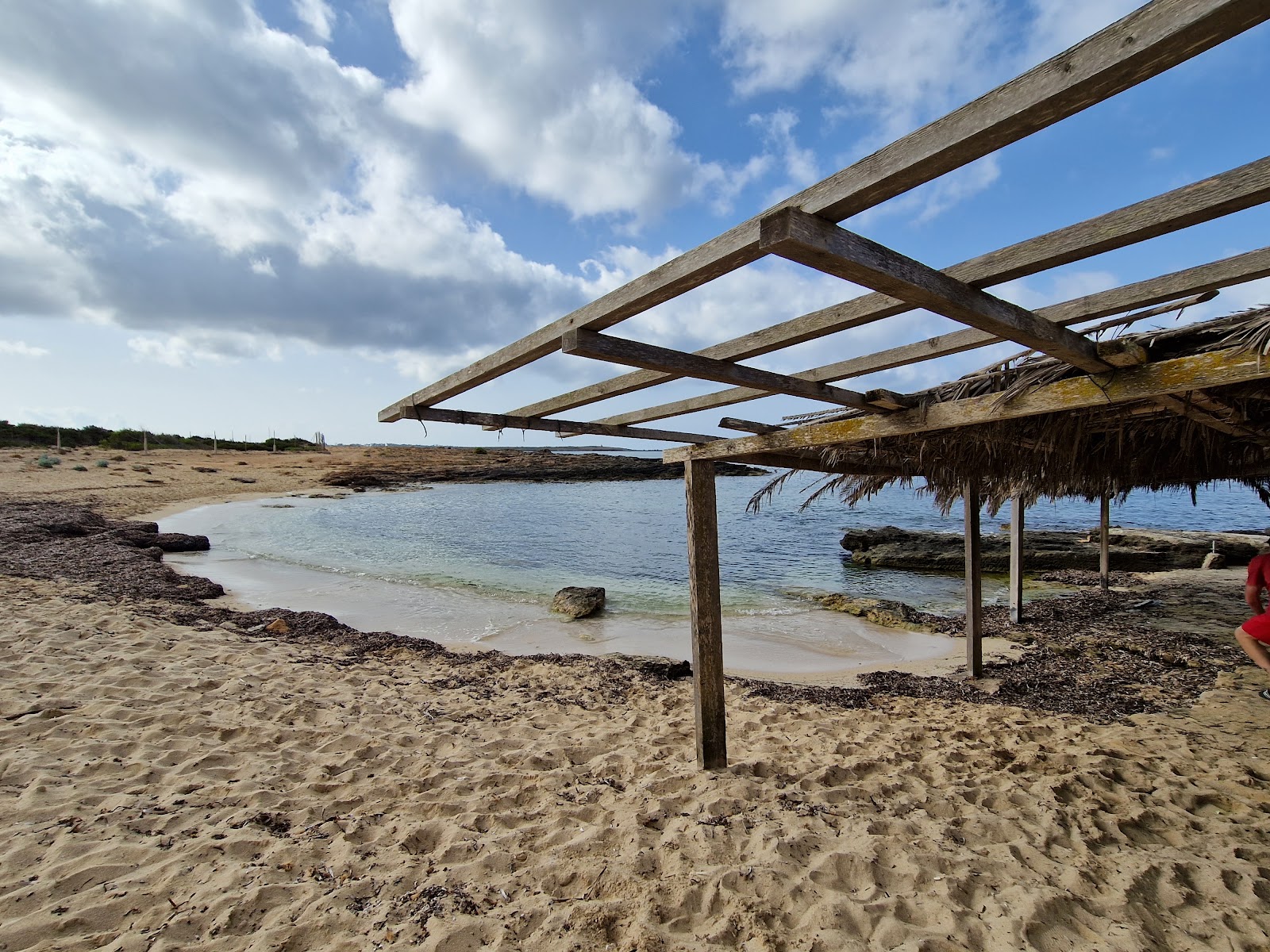 Platja de Can Curt'in fotoğrafı doğal alan içinde bulunmaktadır