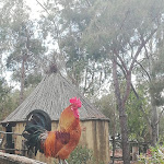 Photo n°1 de l'avis de Joelle.i fait le 24/05/2019 à 05:14 sur le  Borgo Cala Moresca à Arbatax