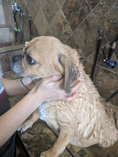 Pet Supply Store «Pet Valu», reviews and photos, 411 Valley Brook Ave, Lyndhurst, NJ 07071, USA