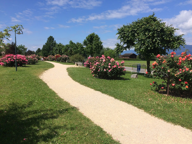 Minigolf d'Estavayer-le-Lac - Yverdon-les-Bains