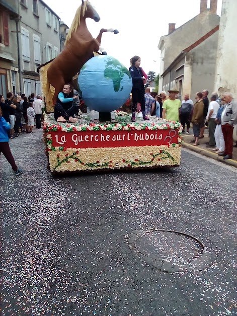 Transaxia LA GUERCHE à La Guerche-sur-l'Aubois (Cher 18)