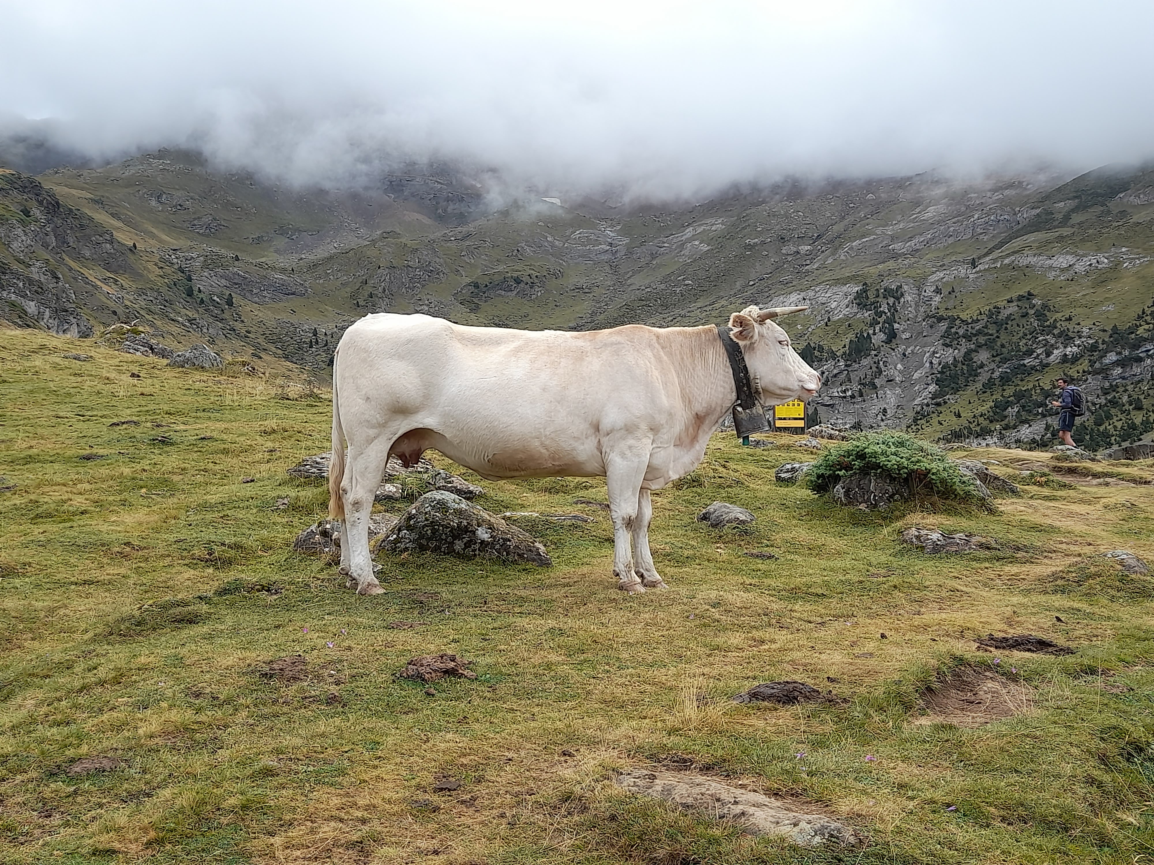 Photo n° 9 de l'avis de Jola.r fait le 29/08/2020 à 16:46