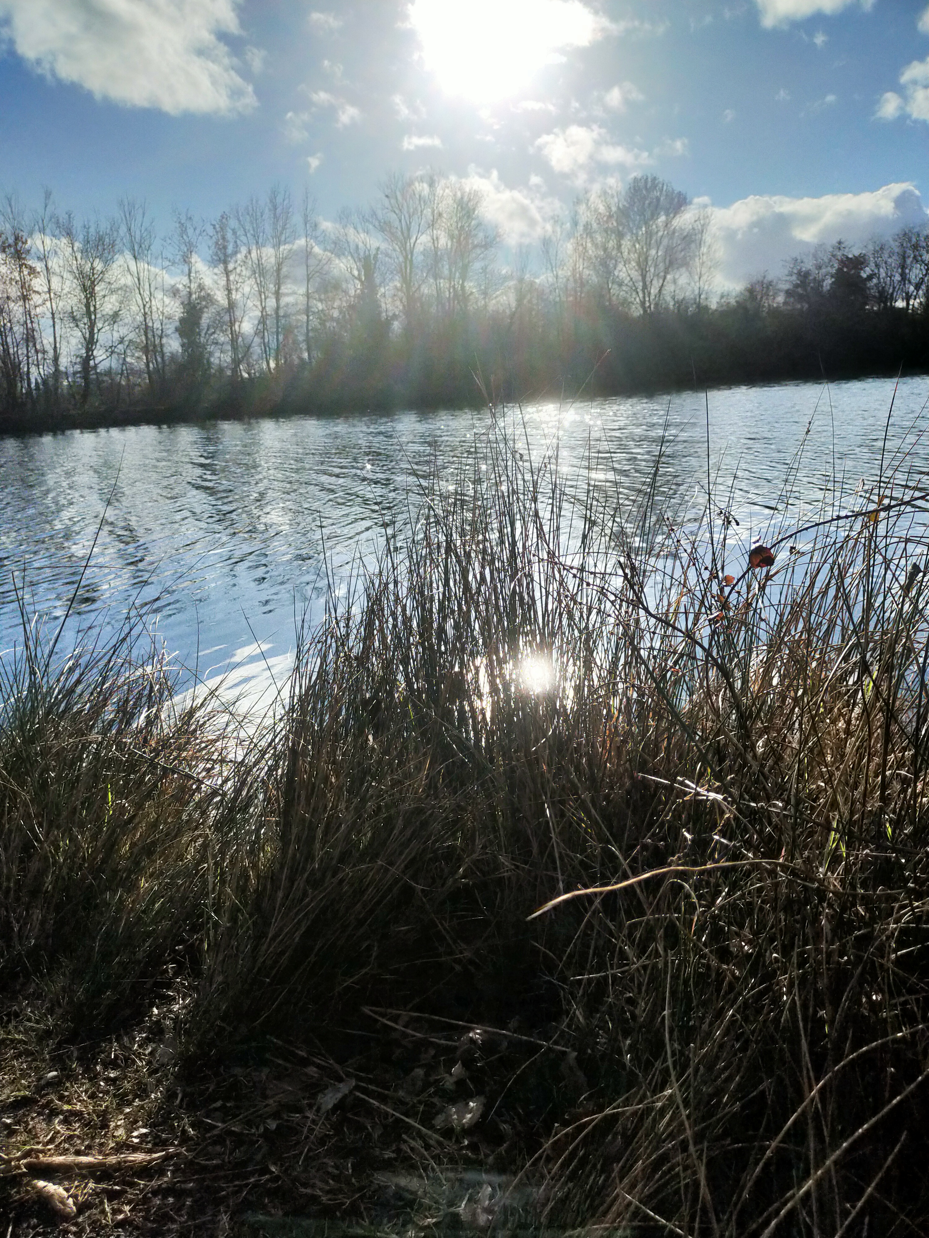 Photo n° 13 de l'avis de Domie.u fait le 13/03/2022 à 17:39