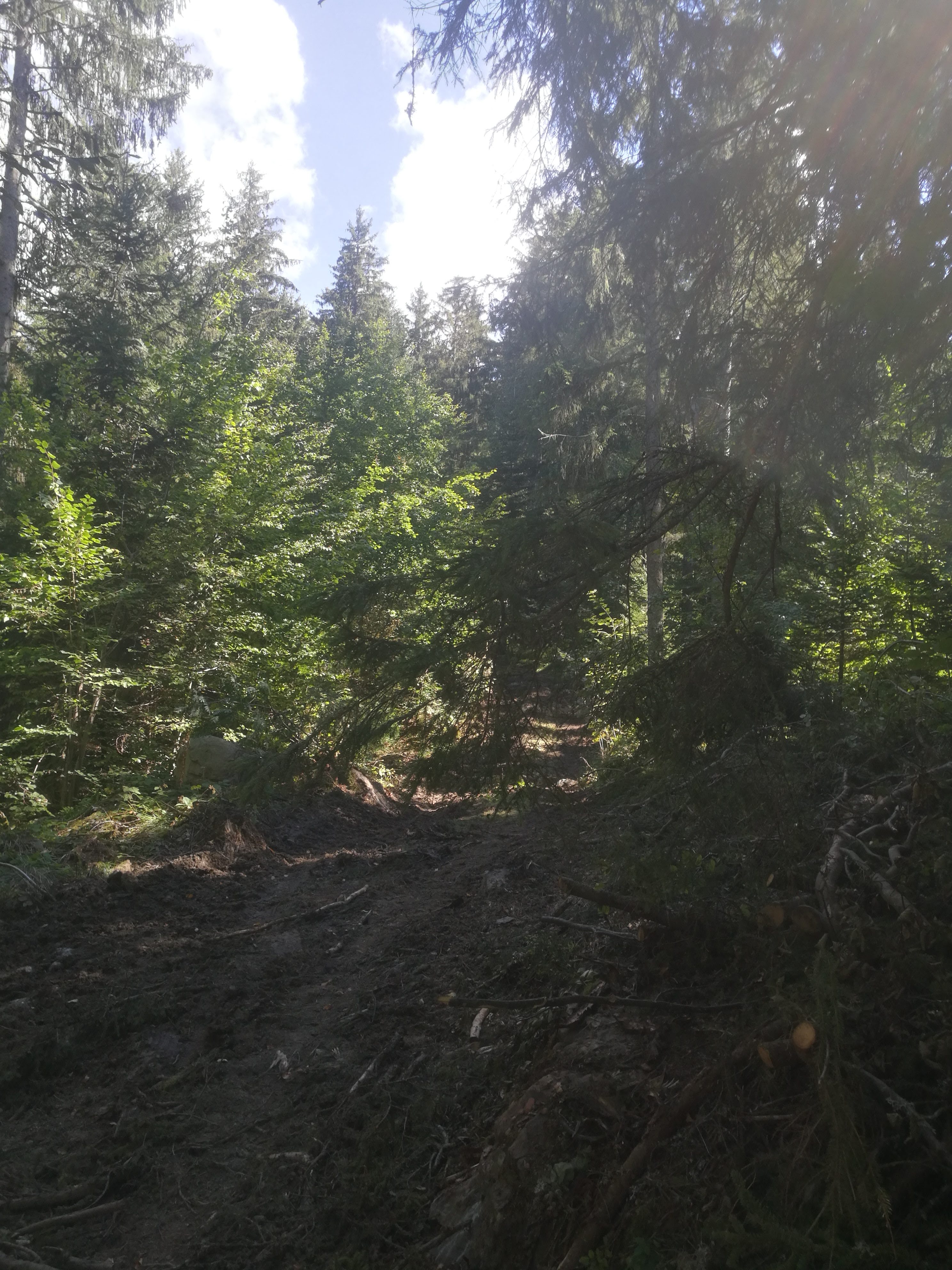 Photo n° 6 de l'avis de Rolland.a fait le 08/09/2020 à 14:44