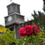 Photo n°2 de l'avis de Jörg.i fait le 06/07/2020 à 20:20 sur le  Salzerei à Schönebeck