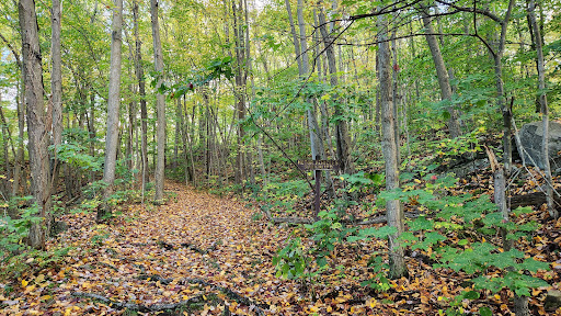 Jeff Barr Memorial Trailhead