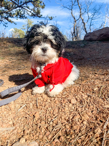 Pet Store «Perfect Pets», reviews and photos, 6840 S University Blvd #410, Centennial, CO 80122, USA