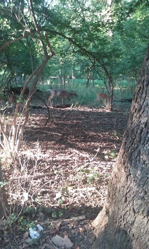 Randolph Hills Local Park - photo 27