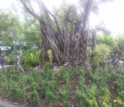 PARK @ SIAM photo
