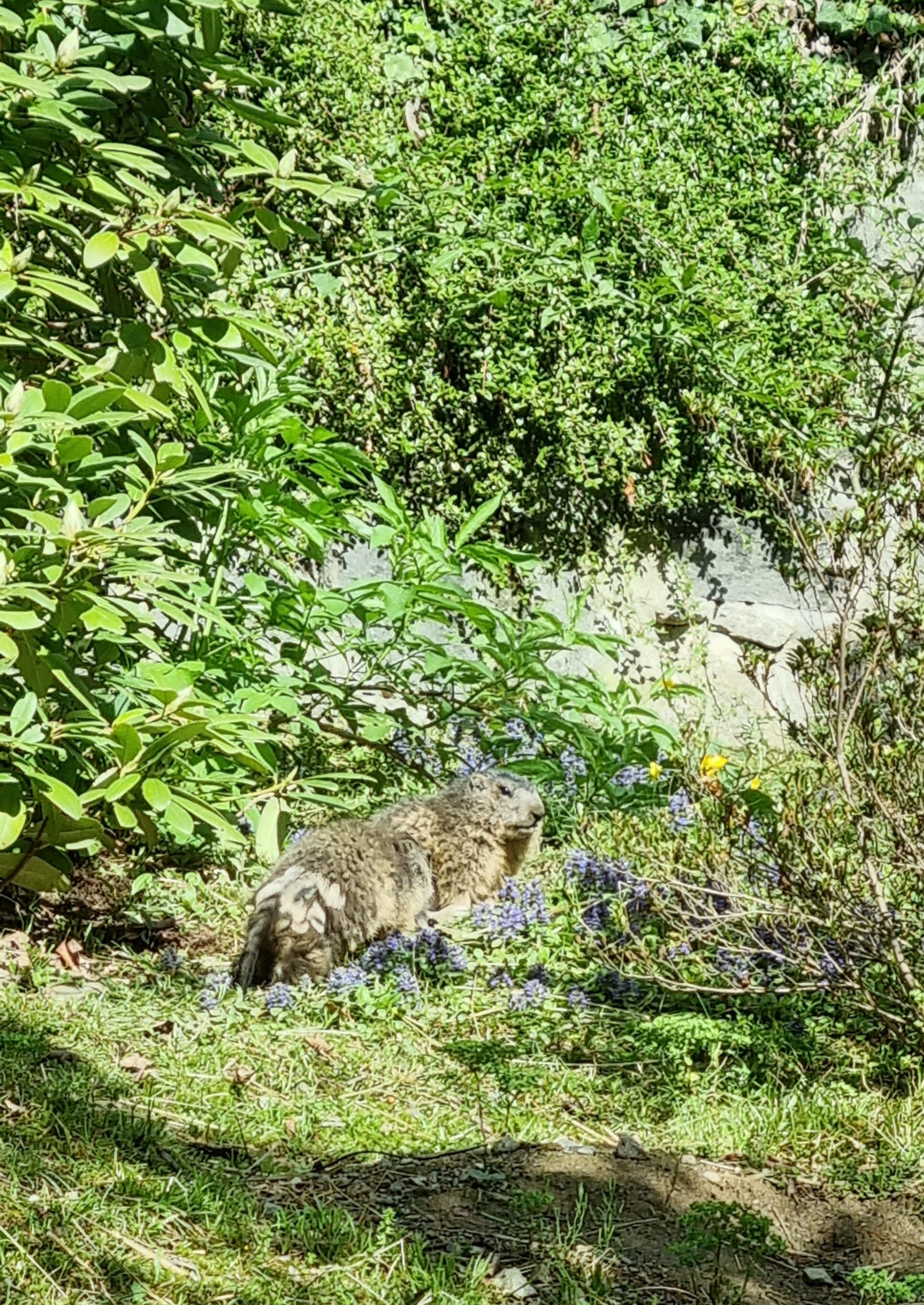 Photo n° 19 de l'avis de Anne.a fait le 25/04/2022 à 13:04