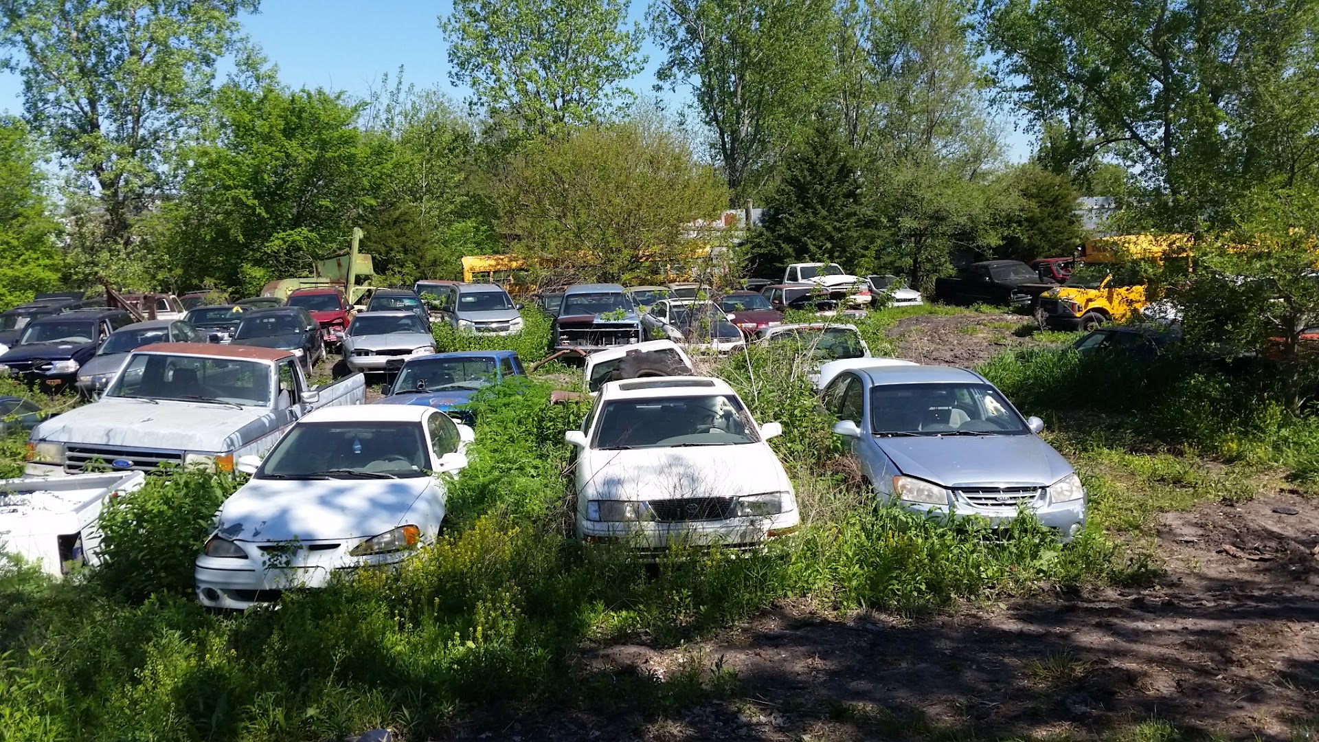 Junk dealer In Osborn MO 