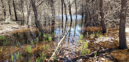 Nature Preserve «Saugatuck Harbor Natural Area», reviews and photos, Oval Dr, Saugatuck, MI 49453, USA