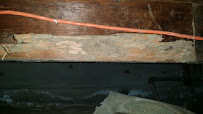Cal Valley Termite - Photo 4 - Car repair in , Yuba City