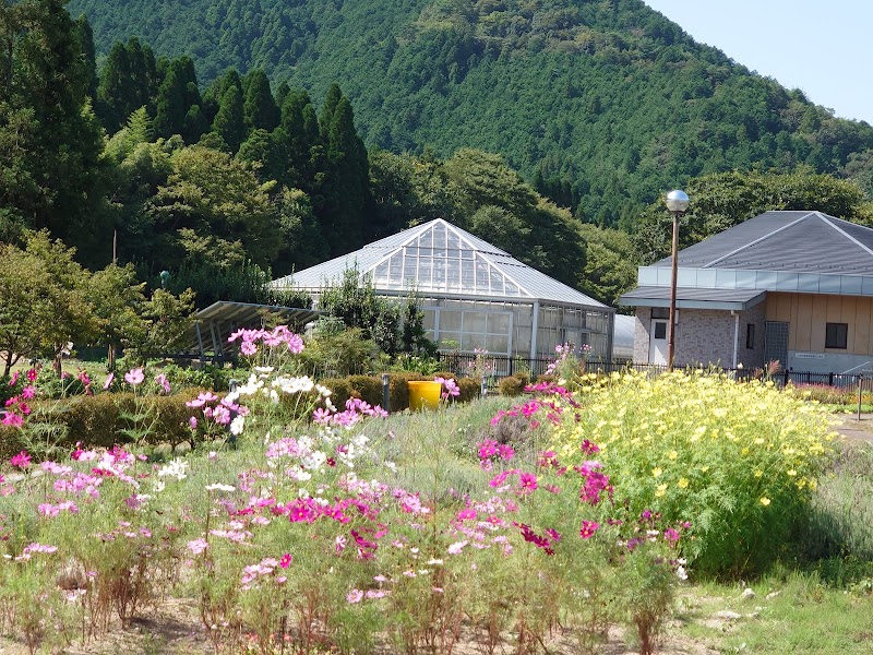 薬草薬樹公園リフレッシュ館 兵庫県丹波市山南町和田 銭湯 グルコミ