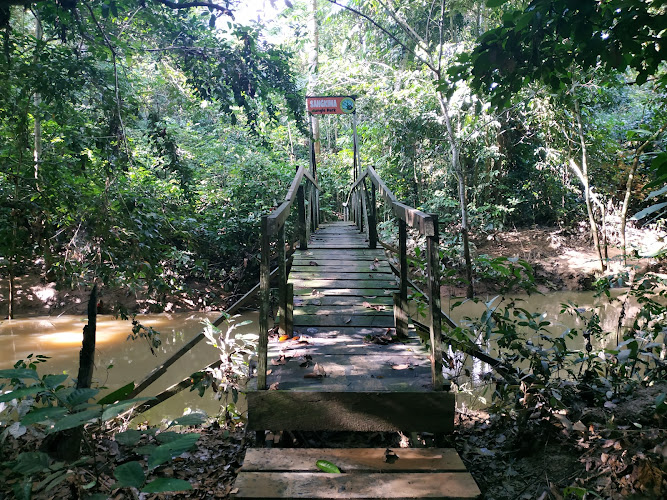 (Sangkima Jungle Park) Taman Nasional Kutai
