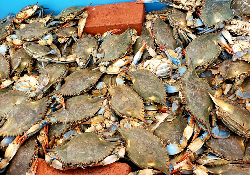 Supermarket «Arcadia Super Market», reviews and photos, 645 W Duarte Rd, Arcadia, CA 91007, USA