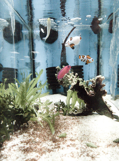 Shopping Mall «Airport Mall», reviews and photos, 1129 Union St, Bangor, ME 04401, USA