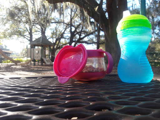 Park «Scotty Cooper Park», reviews and photos, 10849 Carrollwood Dr, Carrollwood, FL 33618, USA