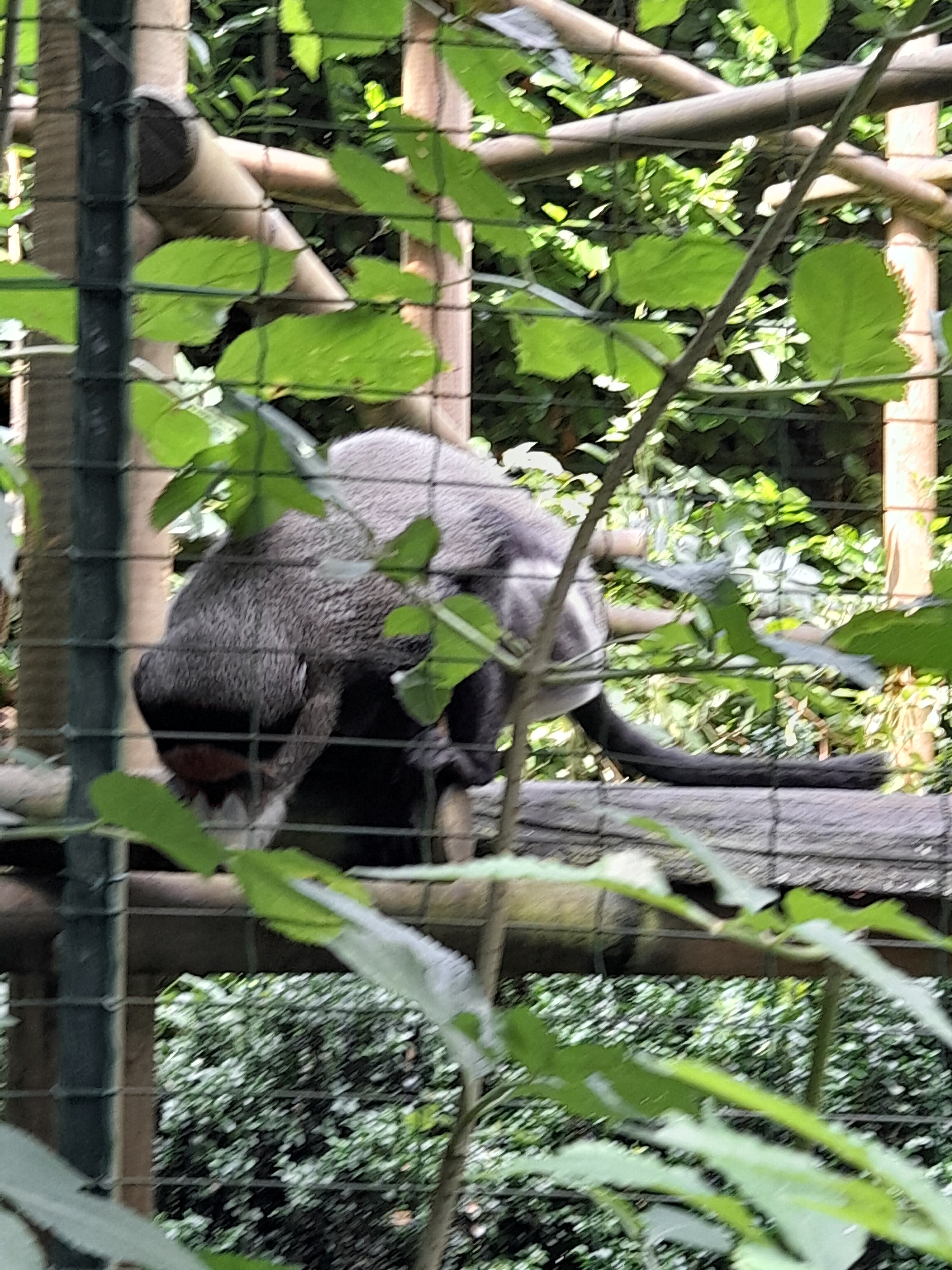 Photo n° 6 de l'avis de Régine.u fait le 26/07/2021 à 13:45