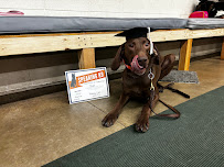 Speaking K9 - Photo 3 - Car repair in Ogden, UT, Ogden