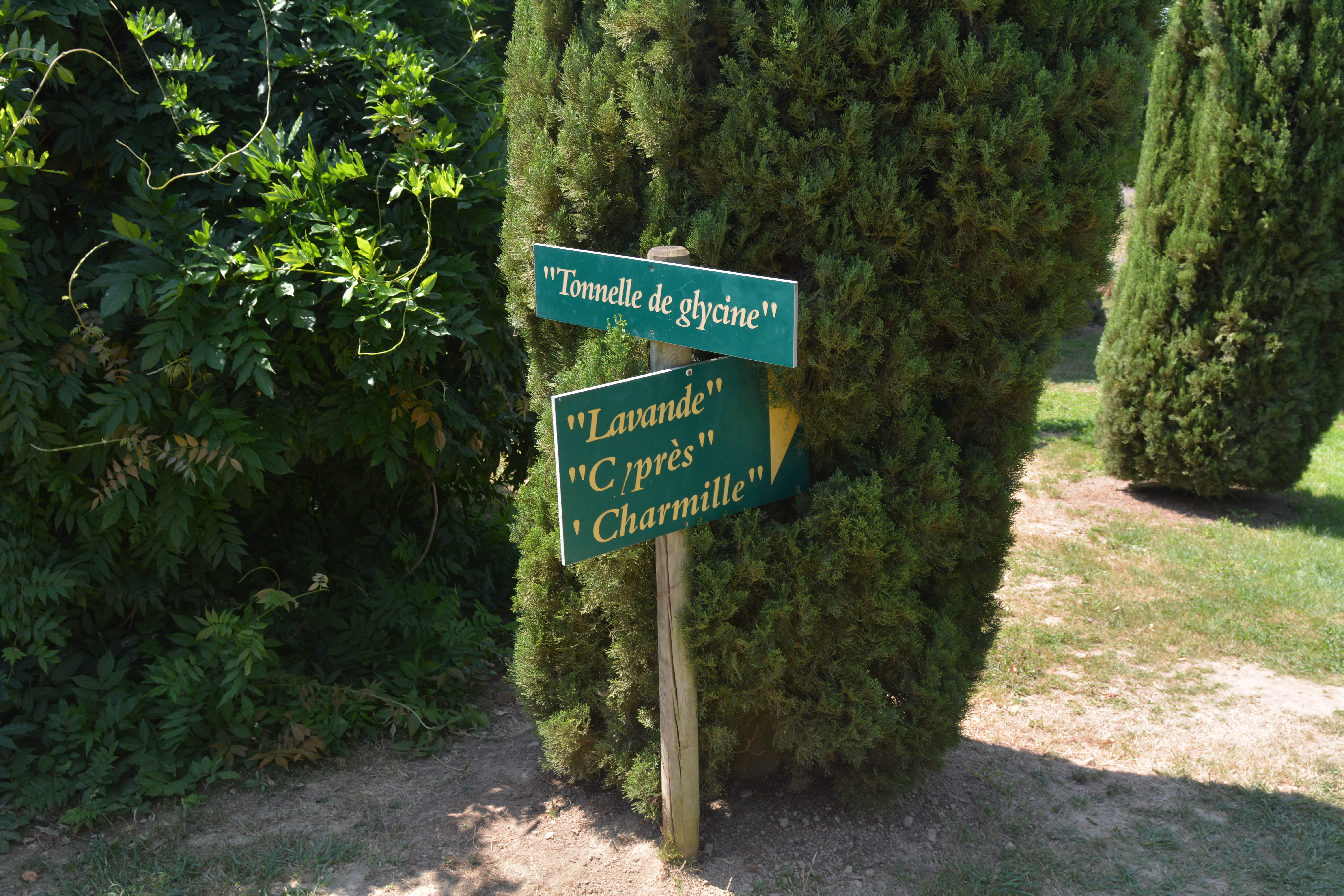 Photo n° 20 de l'avis de Wouter.t fait le 18/08/2019 à 13:45