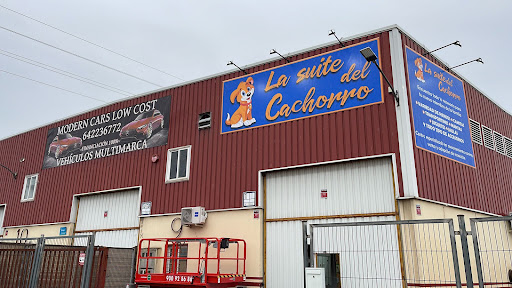 La Suite del cachorro - Cabanillas del Campo