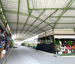 บุญยง ตลาดต้นไม้ photo