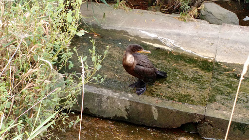 Manufacturer «Quad/Graphics», reviews and photos, N11896 Wisconsin 175, Lomira, WI 53048, USA