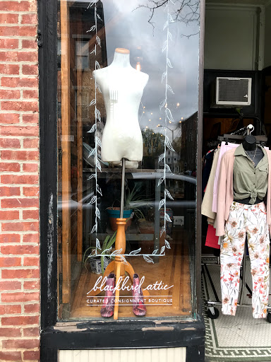 Clothing Store «Blackbird Attic», reviews and photos, 442 Main St, Beacon, NY 12508, USA