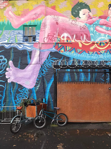 Bicycle Store «River City Bicycles Outlet», reviews and photos, 534 SE Belmont St, Portland, OR 97214, USA